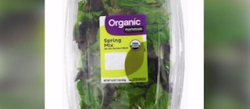 Dead bat found in Wal-Mart salad prompts recall - AOL News - aol.com