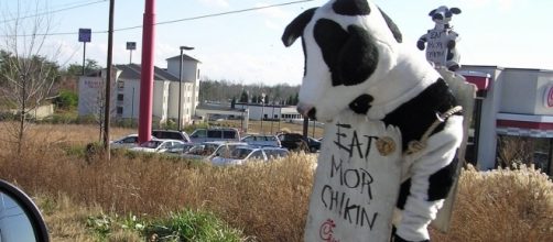 Photo via Flickr by normanack / CC BY 2.0