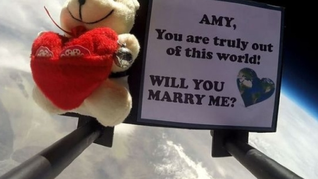 L'orsetto pi&ugrave; romantico dell'universo