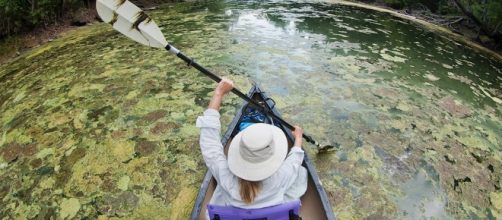 17 Best images about FLORIDA CHECK IT OUT CAREFULLY. Clearwater ... - pinterest.com