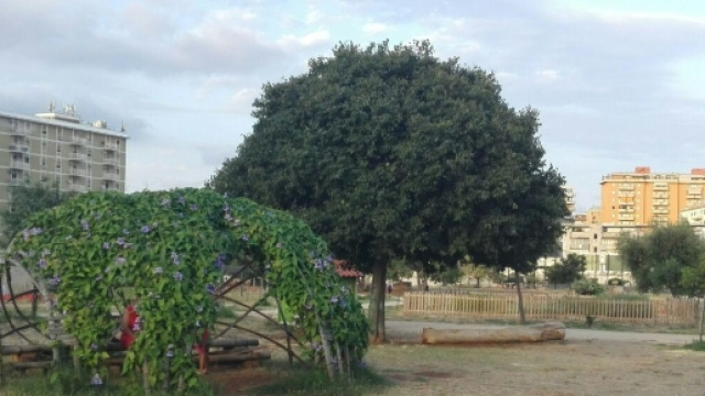 Il Parco Uditore, polmone verde della citt&agrave; di Palermo