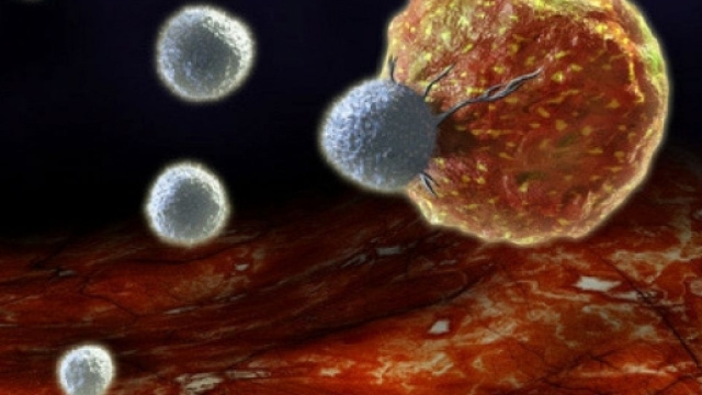 Una nuova terapia ucciderebbe solo le cellule tumorali.