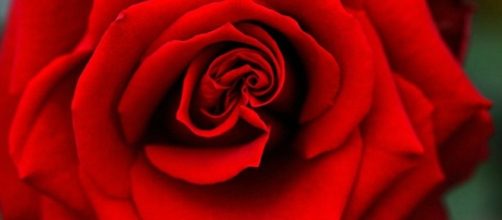 Bachelor' Announcement Spoilers: Mike Fleiss Teases Major Reveal ... - inquisitr.com