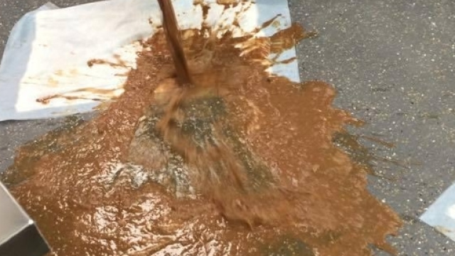 Gli effetti della cioccolata sui cani