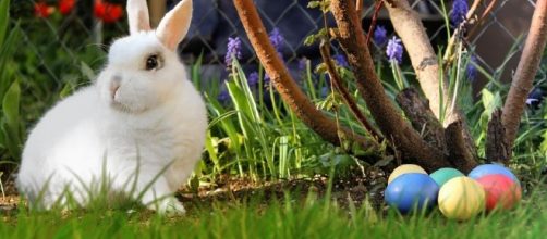 Easter Holiday/Pixabay/Public Domain