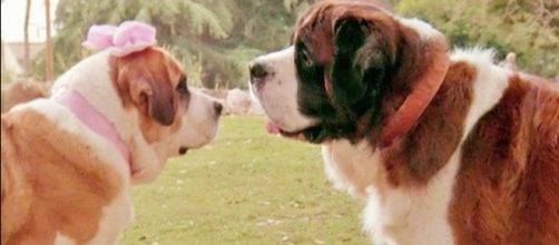 Why the cast of 13 Reasons Why look so familiar | 9TheFIX - com.au