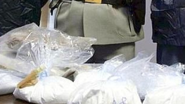 Reggio Calabria: maxi sequestro di cocaina al porto di Livorno