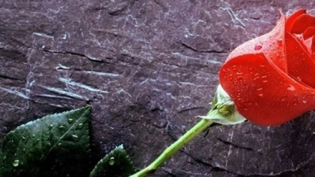 il 25 aprile a Venezia si festeggia con il b&ograve;colo