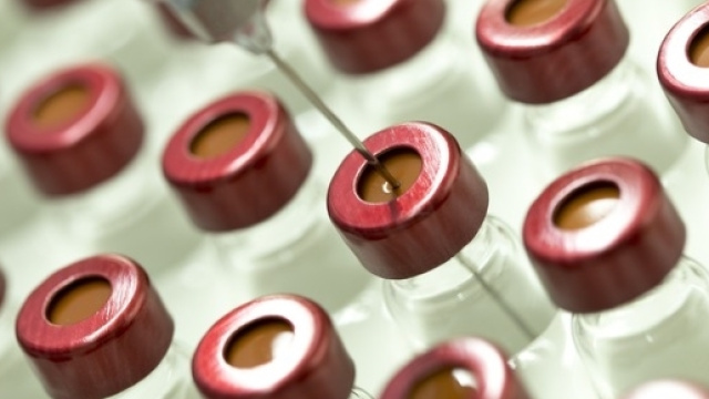 Il Papillomavirus innesca il cancro alla cervice e causa oltre1000 morti l'anno