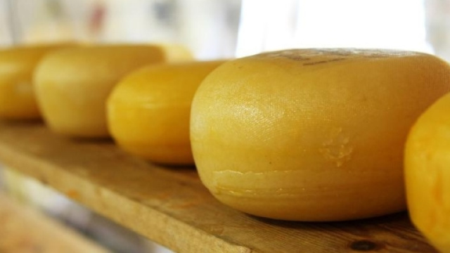 Latte e derivati: obbligatoria l'origine in etichetta - Cibus ... - cibusalius.com