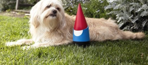 April Fool's Day: Best, Funniest Pranks of 2017 | Time.com - time.com