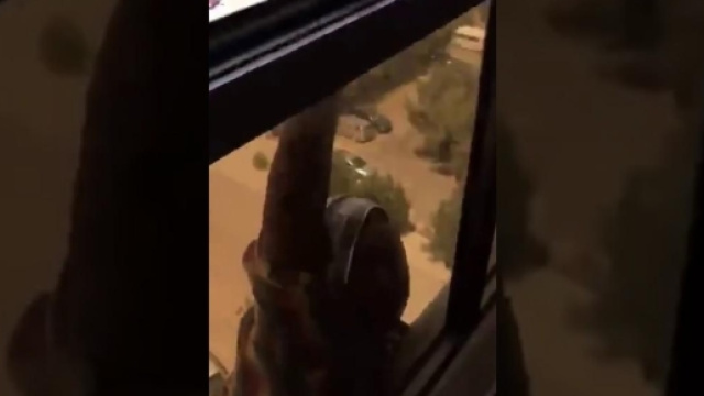 Cameriera sta per cadere, donna la immortala ma non la salva