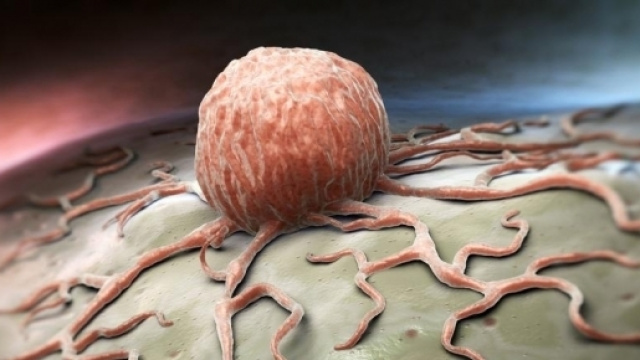 Il cellulare, a causa dei campi elettromagnetici, pu&ograve; causare il cancro.