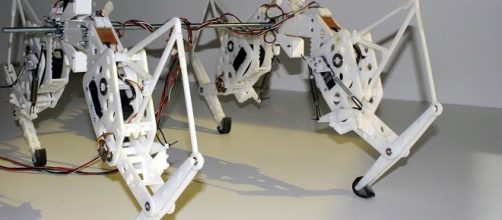 Cheetah is the fastest land animal on Earth [Image: University of Twente]