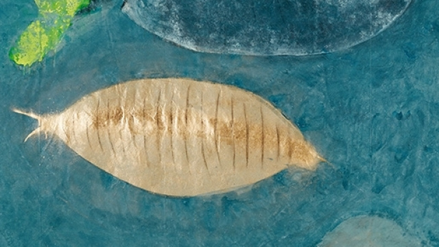 Michele Ciacciofera opera - Documenta 14