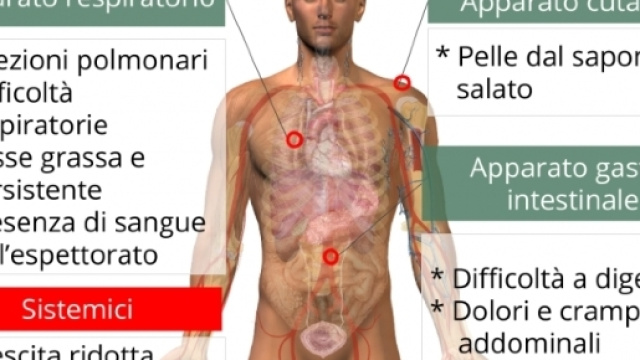 Trovato un aiuto per la cura della fibrosi cistica.