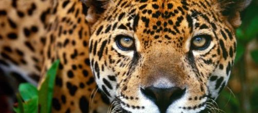 Gobierno del estado trabaja en la conservaci&oacute;n y aprovechamiento ... - periodicotiempo.com