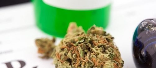 Medical Marijuana | Maryland Marijuana Doctors - mdmarijuanadoctor.com