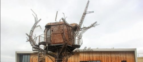 Recent craft beer trademark disputes have left brands like Dogfish Head and BrewDog balancing PR and business practices.