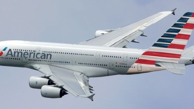 American Airlines, passeggera percossa con un passeggino da uno steward