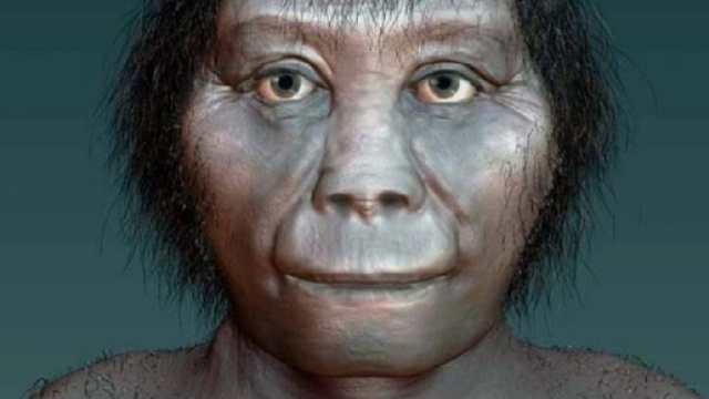 Ricostruzione artistica dell'Hobbit, ovvero l&rsquo;Homo floresiensi