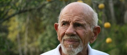 1000+ images about Misc. on Pinterest | Politics, Oblivion and Fresco - pinterest.com