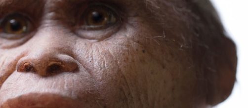 Hobbits once existed / photo sourced via Blasting News Library