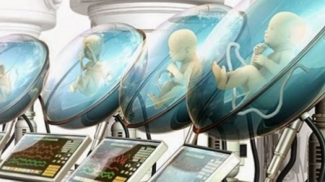 Creato grembo artificiale per i nati prematuri