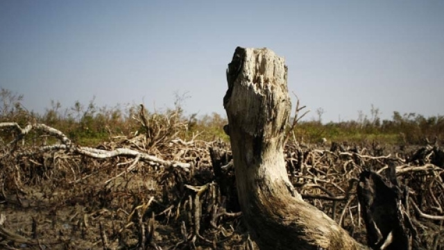 Il riscaldamento globale non ha mai raggiunto ritmi cos&igrave; elevati, conseguenze catastrofiche se continua cos&igrave; - rainews.it