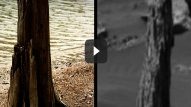 Immagini dal video di Paranormal Crucible