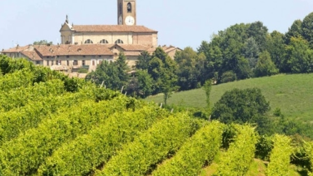 Oltrepo' Pavese, terra di Pinot Nero DOC