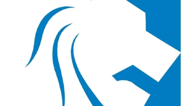 Oroscopo Leone maggio 2017 - oroscopo-zodiaco.com