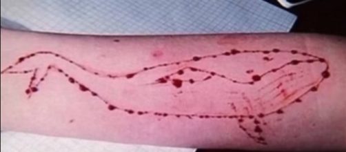 Alerta por el mortal juego de la 'Ballena Azul': &iquest;qu&eacute; es y en qu&eacute; ... - tribunasalamanca.com