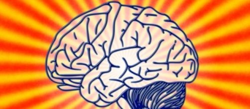 Anti-aging research is on a roll &mdash; Neurofantastic - neurofantastic.com