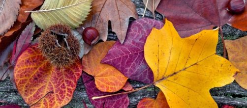 Dicas para o outono n&atilde;o te causar problemas