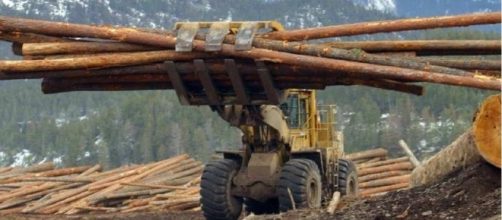 Kady's Watchlist for Oct. 17 &ndash; Softwood lumber tops House agenda / Photo by ottawacitizen.com via Blasting News library