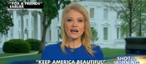 Kellyanne Conway on Fox News, via Twitter