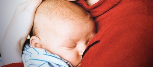 La gestaci&oacute;n subrogada como negocio