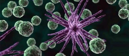 The First Widely Protective Chlamydia Vaccine Has Been Produced - sciencenewsjournal.com