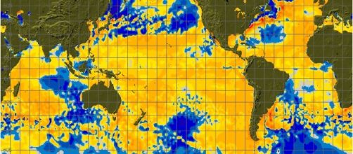 Wild claim: Climate change impacts on endangered wildlife ... - wattsupwiththat.com