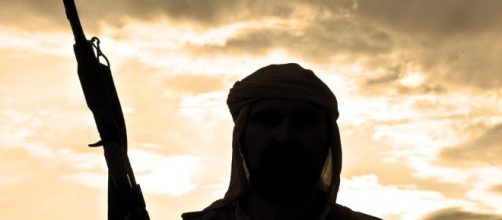 Pigs killed 3 Islamic State militants -Image - upi.com