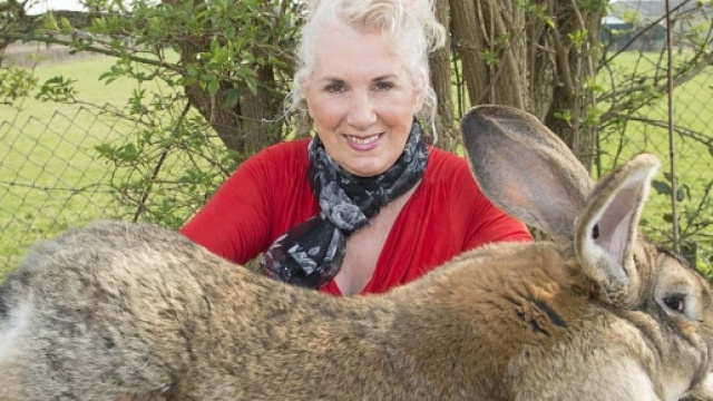 Il coniglio gigante Simon con l'allevatrice Annette Edwards. Simon &egrave; deceduto su un volo United. Foto: ethnos.gr.