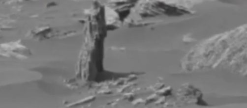 UFO hunter claims 'Martian tree' seen on Mars in Curiosity Rover ... - mirror.co.uk