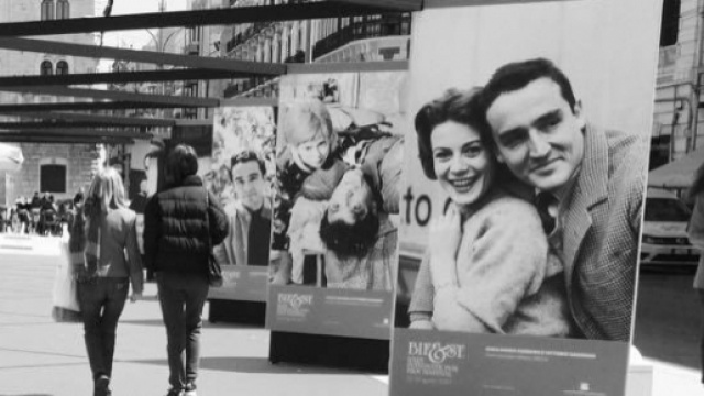 Bari International Film Festival