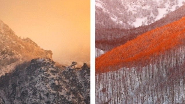 Foto estatte da "Il Ritratto del Tempo" - Tonio Di Stefano