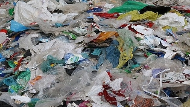 Le Iene: 'Qui la gente si sta ammalando'