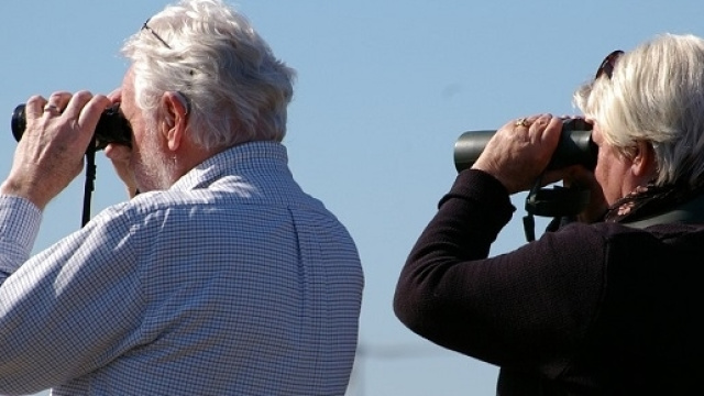 pensioni 2017 news requisiti calcoli riforma