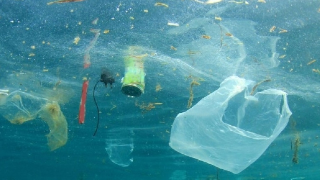 Tutti al mare, a fare il bagno in mezzo ai rifiuti | Diario Trend - diariodelweb.it