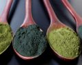 ¿Qué es la espirulina? El nuevo superalimento