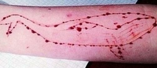 Atenci&oacute;n papis! / "La ballena azul": El peligroso juego de ... - com.ar